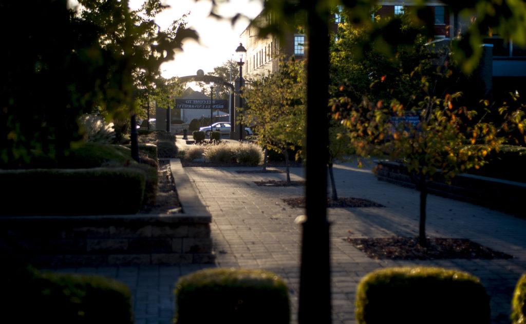 Walkway on campus with light shining in between the trees and leaves to show an arch